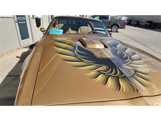 1979 Pontiac Firebird Trans Am (CC-2118802) for sale in Sioux Falls, South Dakota
