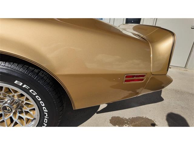 1979 Pontiac Firebird Trans Am (CC-2118802) for sale in Sioux Falls, South Dakota