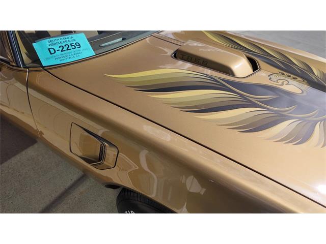 1979 Pontiac Firebird Trans Am (CC-2118802) for sale in Sioux Falls, South Dakota