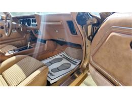 1979 Pontiac Firebird Trans Am (CC-2118802) for sale in Sioux Falls, South Dakota