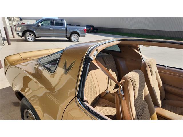 1979 Pontiac Firebird Trans Am (CC-2118802) for sale in Sioux Falls, South Dakota