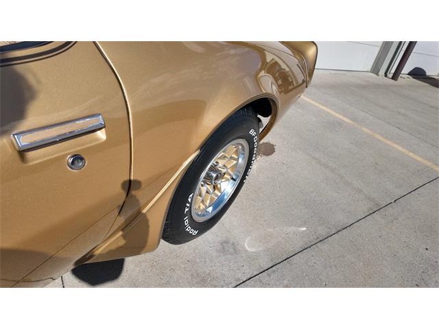 1979 Pontiac Firebird Trans Am (CC-2118802) for sale in Sioux Falls, South Dakota