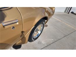 1979 Pontiac Firebird Trans Am (CC-2118802) for sale in Sioux Falls, South Dakota