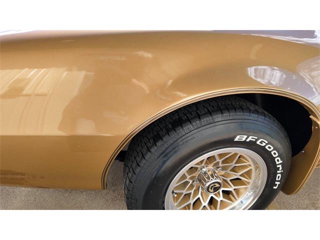 1979 Pontiac Firebird Trans Am (CC-2118802) for sale in Sioux Falls, South Dakota