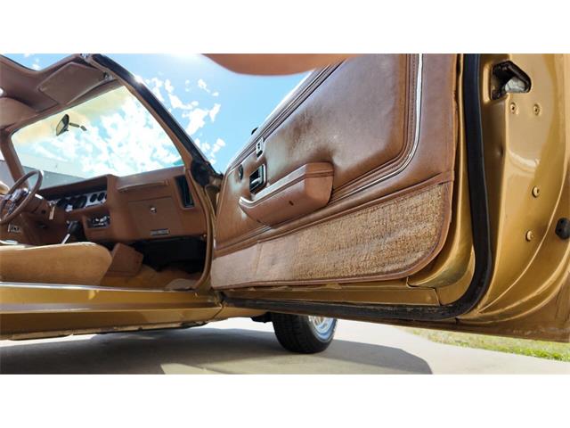 1979 Pontiac Firebird Trans Am (CC-2118802) for sale in Sioux Falls, South Dakota