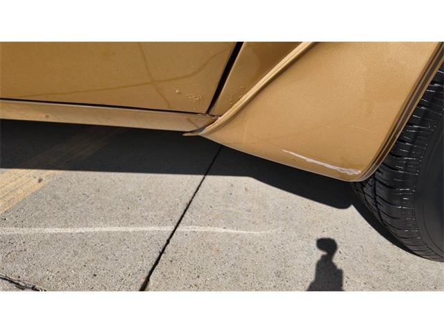 1979 Pontiac Firebird Trans Am (CC-2118802) for sale in Sioux Falls, South Dakota