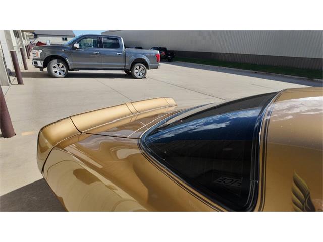 1979 Pontiac Firebird Trans Am (CC-2118802) for sale in Sioux Falls, South Dakota