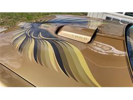 1979 Pontiac Firebird Trans Am (CC-2118802) for sale in Sioux Falls, South Dakota