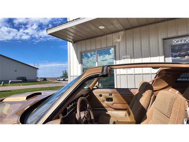 1979 Pontiac Firebird Trans Am (CC-2118802) for sale in Sioux Falls, South Dakota