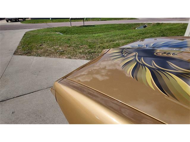 1979 Pontiac Firebird Trans Am (CC-2118802) for sale in Sioux Falls, South Dakota