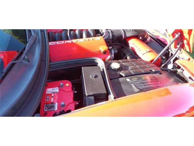 2004 Chevrolet Corvette (CC-2118804) for sale in Cadillac, Michigan