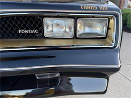 1978 Pontiac Firebird Trans Am (CC-2118811) for sale in Orrville, Ohio