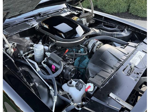 1978 Pontiac Firebird Trans Am (CC-2118811) for sale in Orrville, Ohio