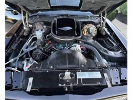 1978 Pontiac Firebird Trans Am (CC-2118811) for sale in Orrville, Ohio