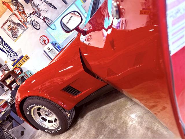 1981 Chevrolet Corvette (CC-2118823) for sale in Wilson, Oklahoma