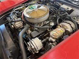 1981 Chevrolet Corvette (CC-2118823) for sale in Wilson, Oklahoma