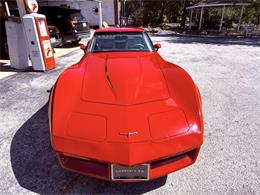 1981 Chevrolet Corvette (CC-2118823) for sale in Wilson, Oklahoma