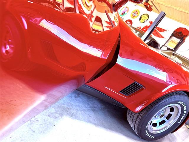 1981 Chevrolet Corvette (CC-2118823) for sale in Wilson, Oklahoma