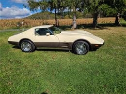 1977 Chevrolet Corvette (CC-2118874) for sale in MARTINSBURG, Pennsylvania