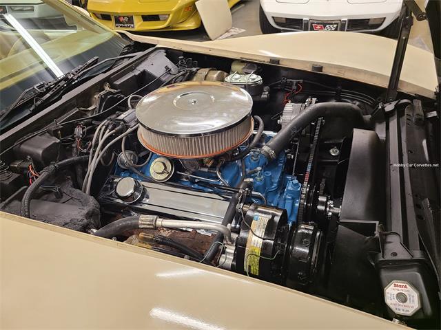 1977 Chevrolet Corvette (CC-2118874) for sale in MARTINSBURG, Pennsylvania