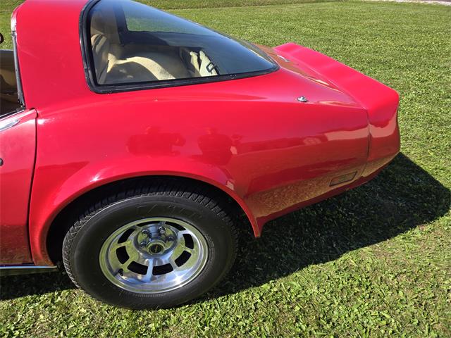 1981 Chevrolet Corvette (CC-2118876) for sale in MARTINSBURG, Pennsylvania
