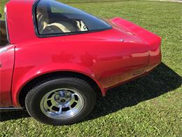 1981 Chevrolet Corvette (CC-2118876) for sale in MARTINSBURG, Pennsylvania