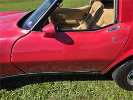 1981 Chevrolet Corvette (CC-2118876) for sale in MARTINSBURG, Pennsylvania