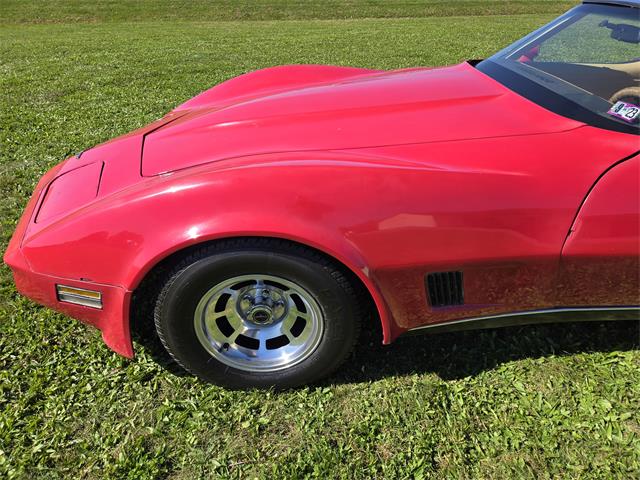 1981 Chevrolet Corvette (CC-2118876) for sale in MARTINSBURG, Pennsylvania