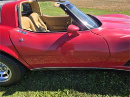 1981 Chevrolet Corvette (CC-2118876) for sale in MARTINSBURG, Pennsylvania