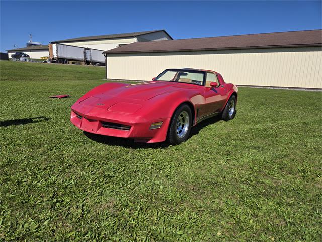 1981 Chevrolet Corvette (CC-2118876) for sale in MARTINSBURG, Pennsylvania