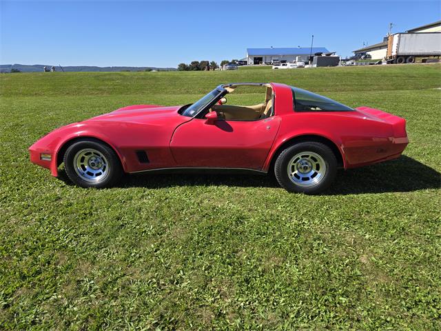 1981 Chevrolet Corvette (CC-2118876) for sale in MARTINSBURG, Pennsylvania
