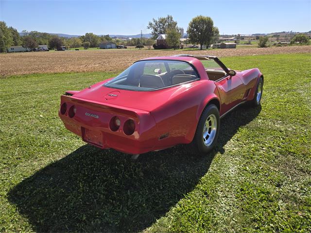 1981 Chevrolet Corvette (CC-2118876) for sale in MARTINSBURG, Pennsylvania