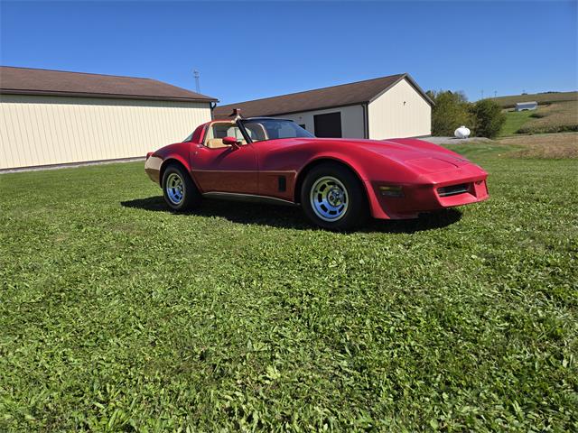 1981 Chevrolet Corvette (CC-2118876) for sale in MARTINSBURG, Pennsylvania