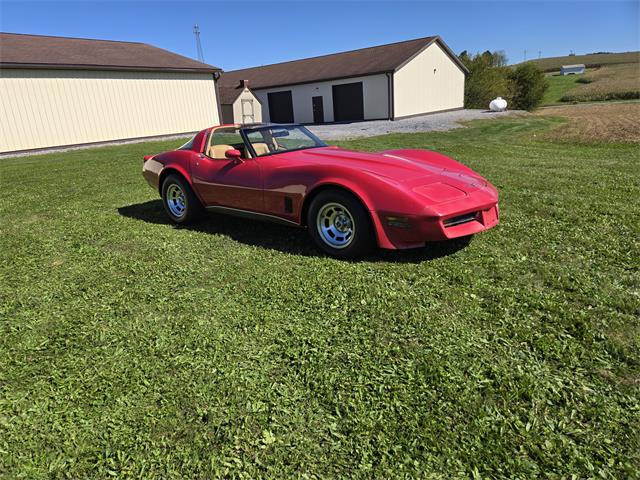 1981 Chevrolet Corvette (CC-2118876) for sale in MARTINSBURG, Pennsylvania