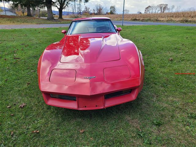 1981 Chevrolet Corvette (CC-2118876) for sale in MARTINSBURG, Pennsylvania