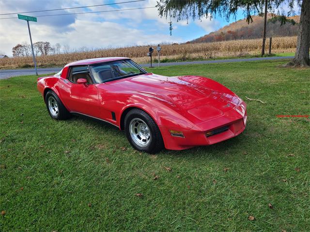 1981 Chevrolet Corvette (CC-2118876) for sale in MARTINSBURG, Pennsylvania