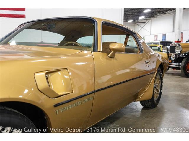 1980 Pontiac Firebird (CC-2118892) for sale in Kentwood, Michigan