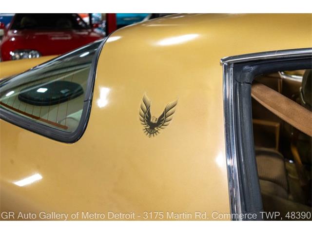 1980 Pontiac Firebird (CC-2118892) for sale in Kentwood, Michigan