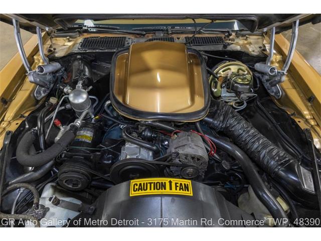 1980 Pontiac Firebird (CC-2118892) for sale in Kentwood, Michigan