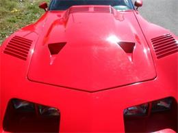 1977 Chevrolet Corvette (CC-2110890) for sale in Cadillac, Michigan