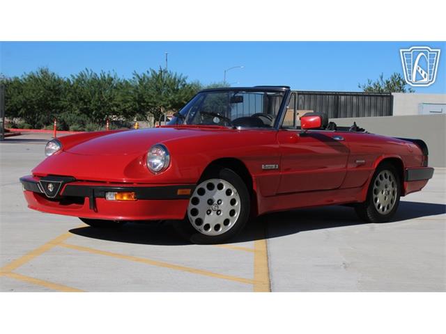 1986 Alfa Romeo Spider Veloce (CC-2118955) for sale in Peoria, Arizona