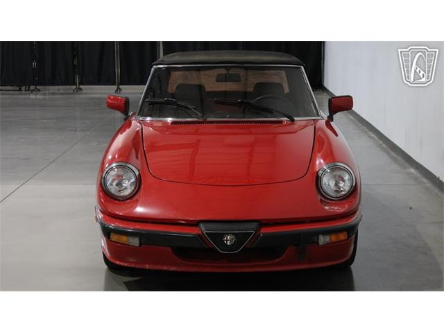 1986 Alfa Romeo Spider Veloce (CC-2118955) for sale in Peoria, Arizona