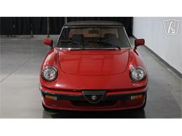 1986 Alfa Romeo Spider Veloce (CC-2118955) for sale in Peoria, Arizona