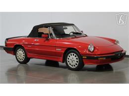 1986 Alfa Romeo Spider Veloce (CC-2118955) for sale in Peoria, Arizona