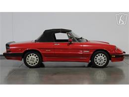 1986 Alfa Romeo Spider Veloce (CC-2118955) for sale in Peoria, Arizona
