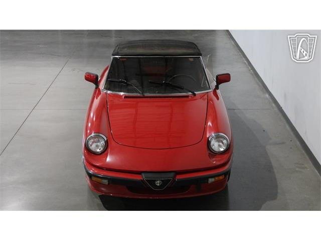 1986 Alfa Romeo Spider Veloce (CC-2118955) for sale in Peoria, Arizona