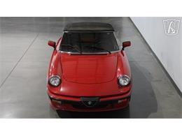 1986 Alfa Romeo Spider Veloce (CC-2118955) for sale in Peoria, Arizona