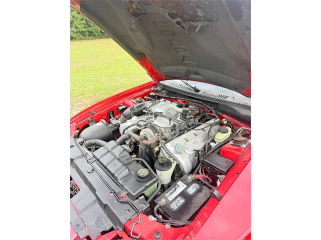 1999 Ford Mustang (CC-2118991) for sale in Greensboro, North Carolina