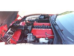 2003 Chevrolet Corvette (CC-2119006) for sale in Cadillac, Michigan