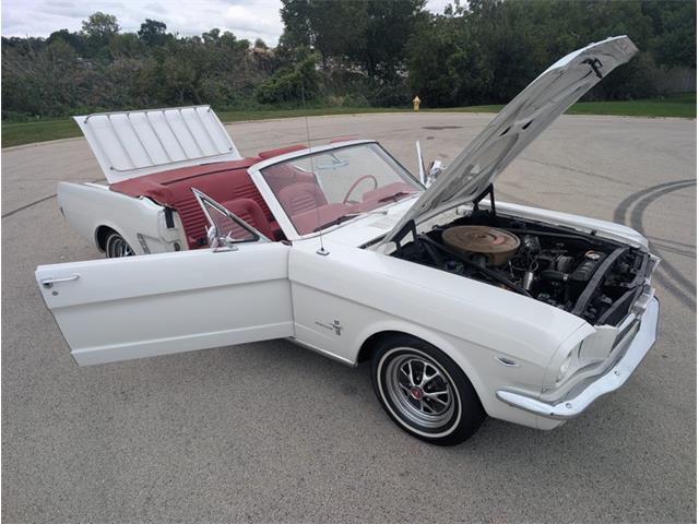 1965 Ford Mustang (CC-2119010) for sale in Palmetto, Florida